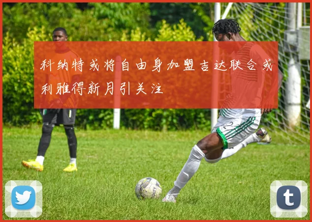 科纳特或将自由身加盟吉达联合或利雅得新月引关注
