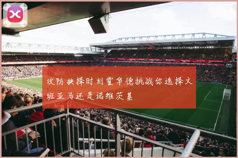攻防抉择时刻霍华德挑战你选择文班亚马还是诺维茨基
