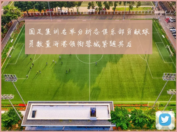 国足集训名单分析各俱乐部贡献球员数量海港领衔蓉城紧随其后